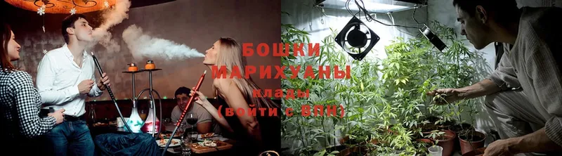 Бошки марихуана White Widow  даркнет как зайти  Борзя 